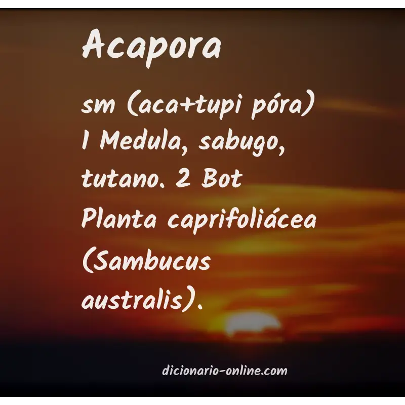 Significado de acapora