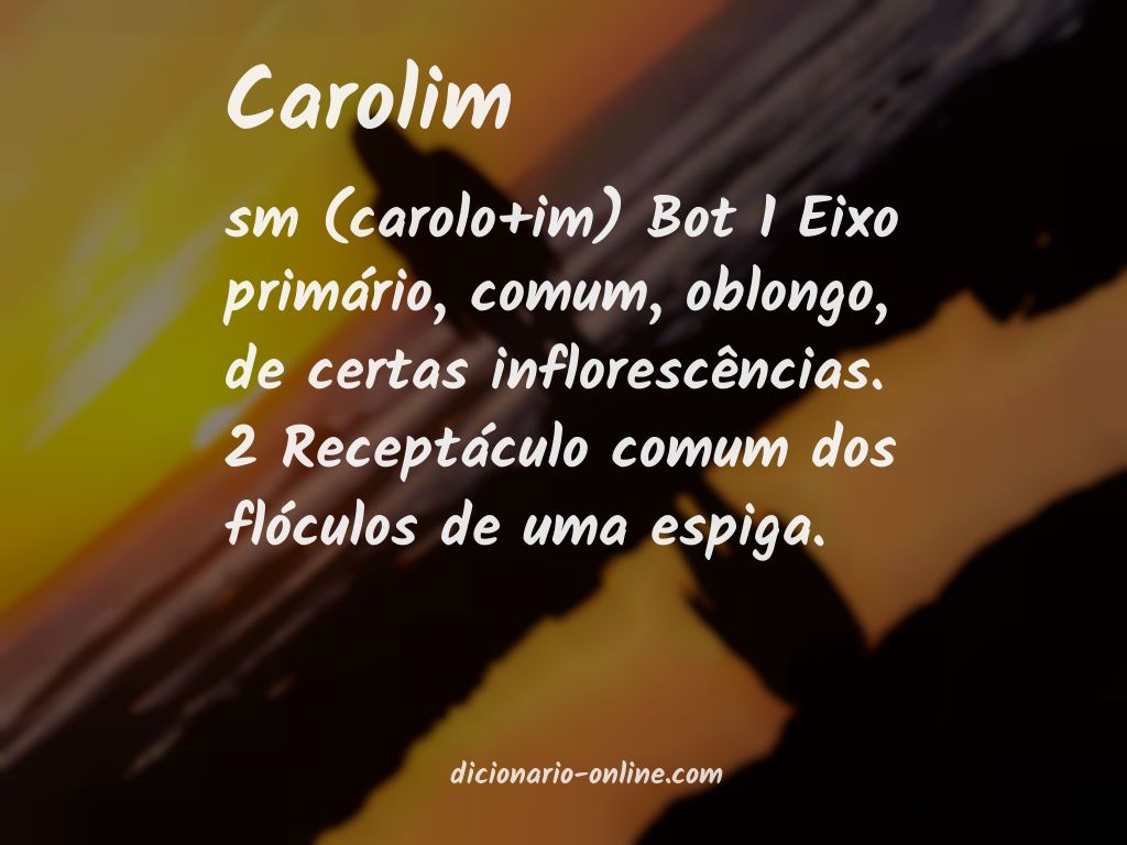 Significado de carolim
