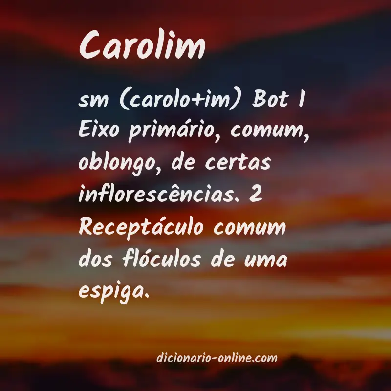 Significado de carolim