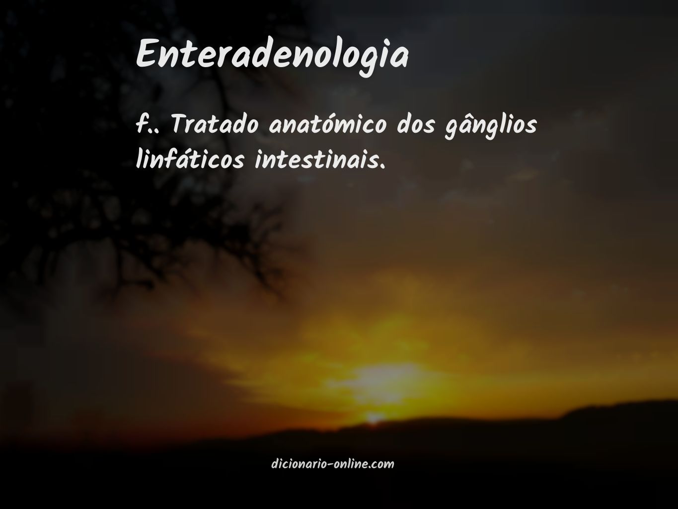 Significado de enteradenologia