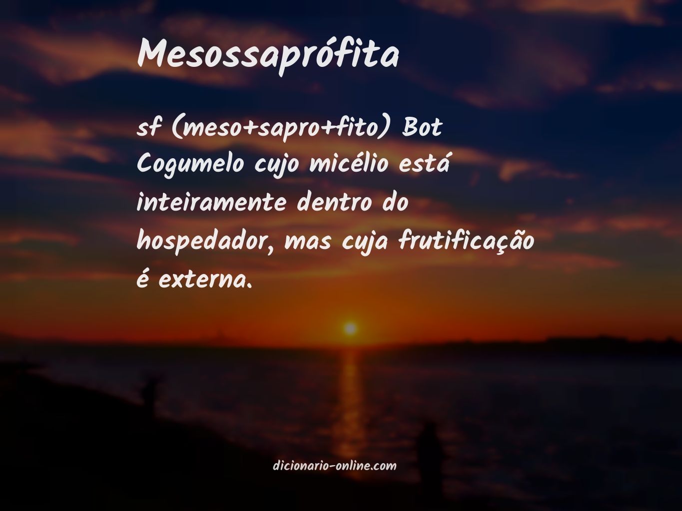 Significado de mesossaprófita