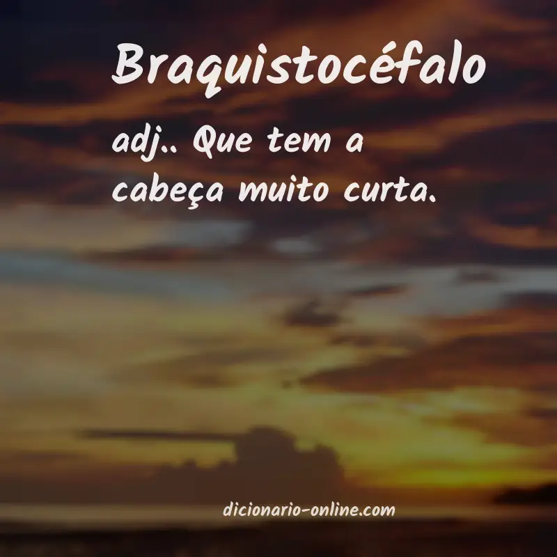 Significado de braquistocéfalo