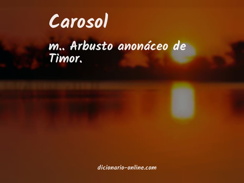 Significado de carosol