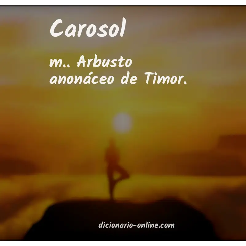 Significado de carosol