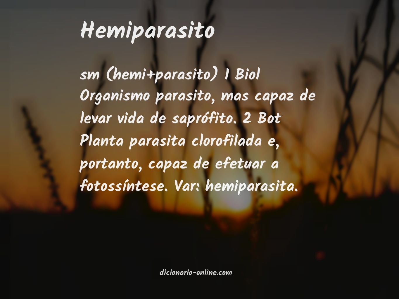 Significado de hemiparasito