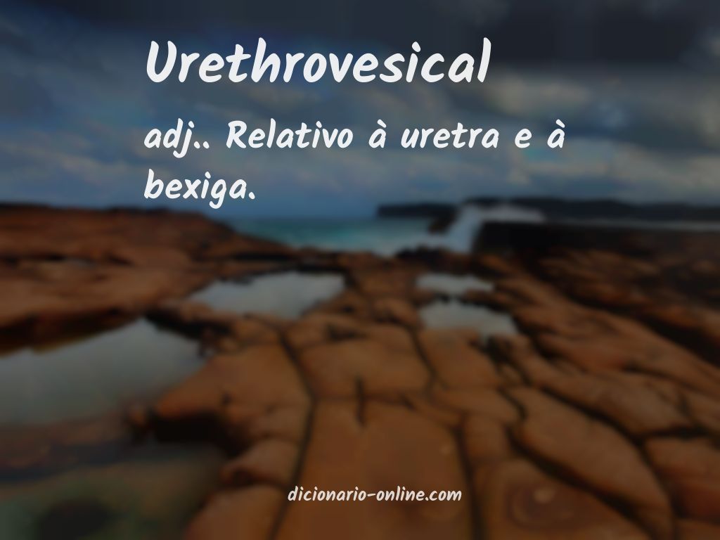 Significado de urethrovesical