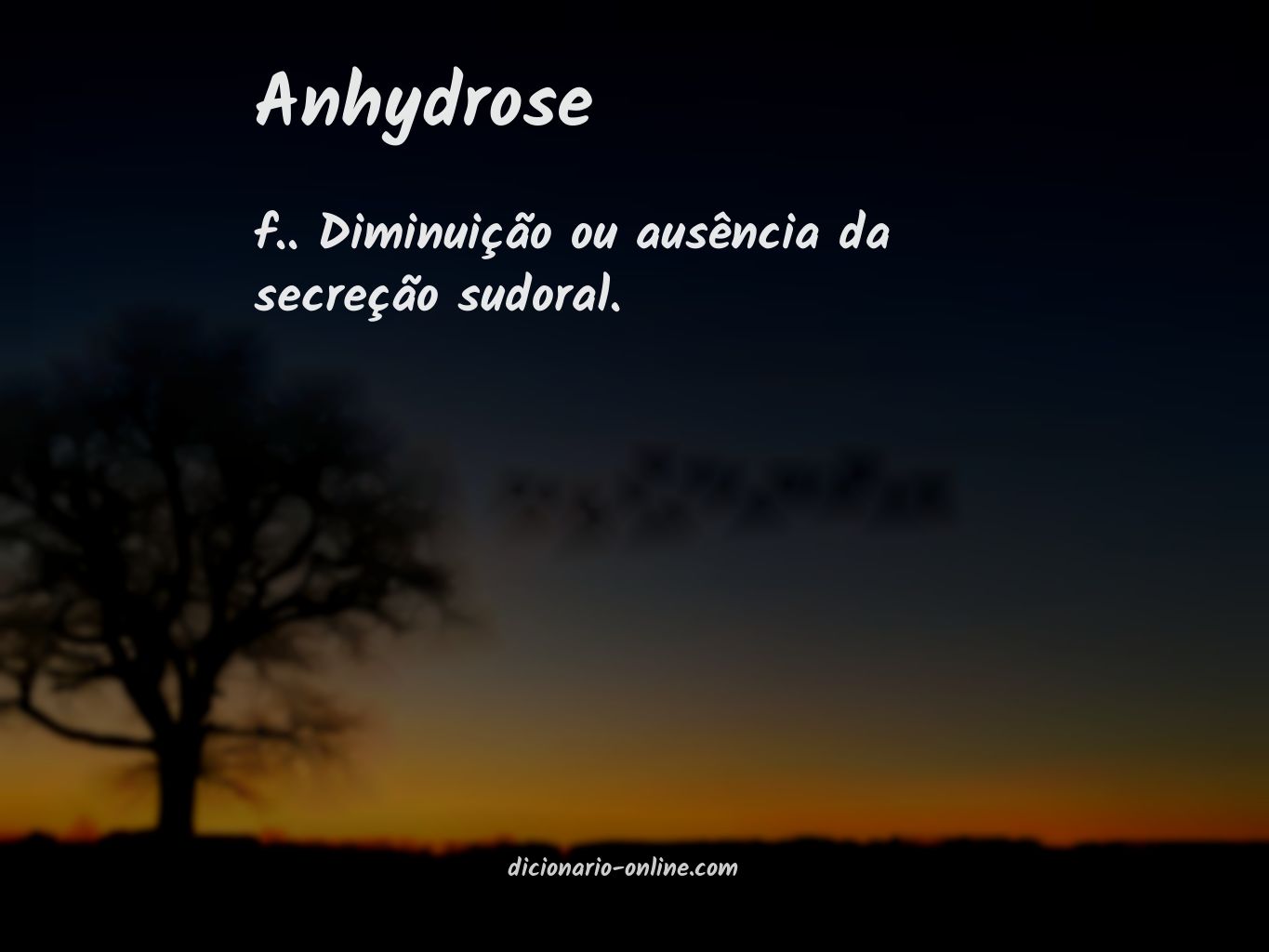 Significado de anhydrose