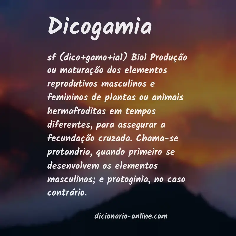 Significado de dicogamia