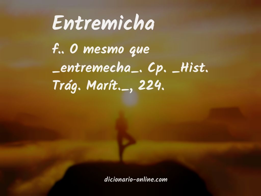 Significado de entremicha