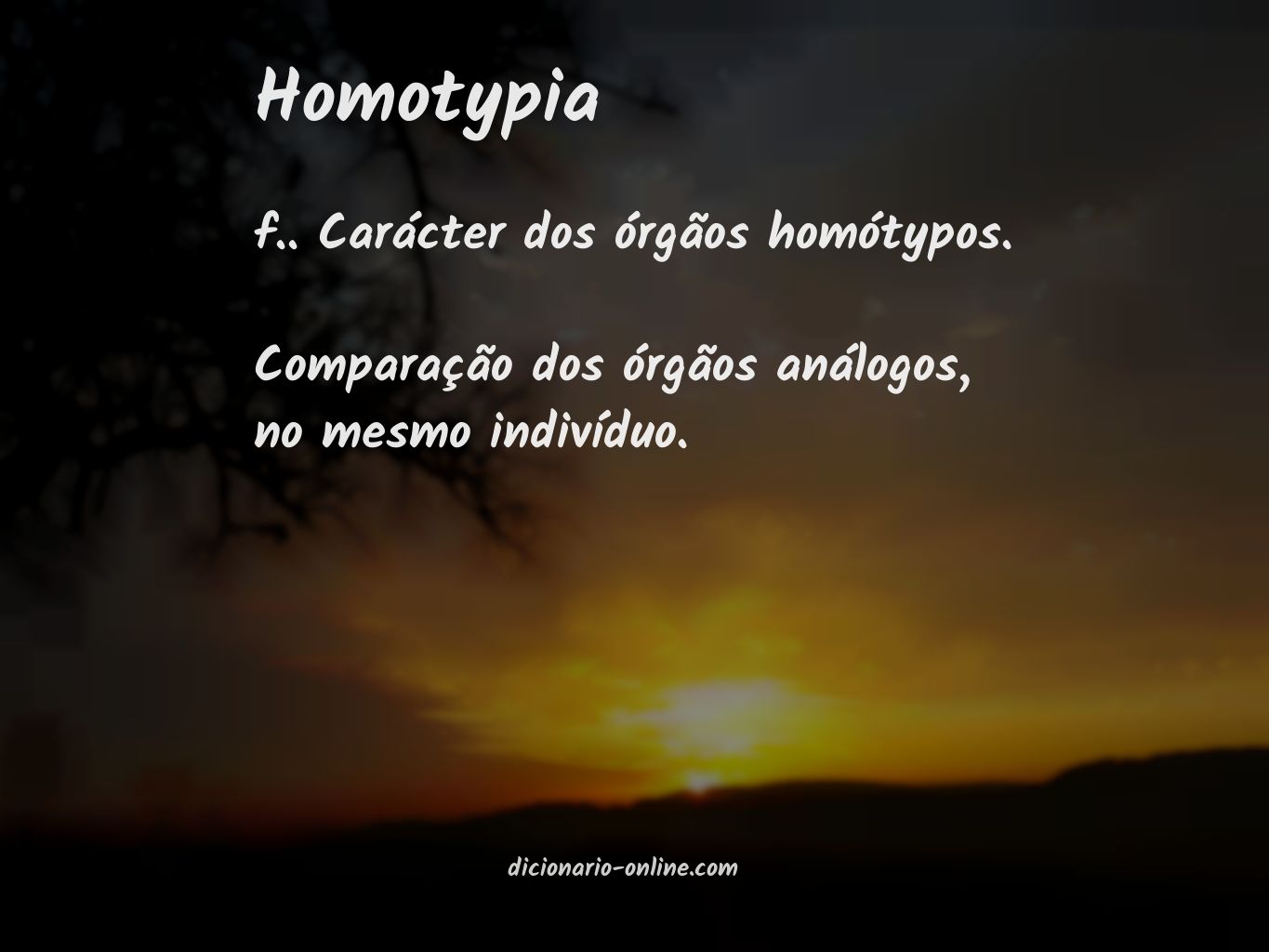 Significado de homotypia