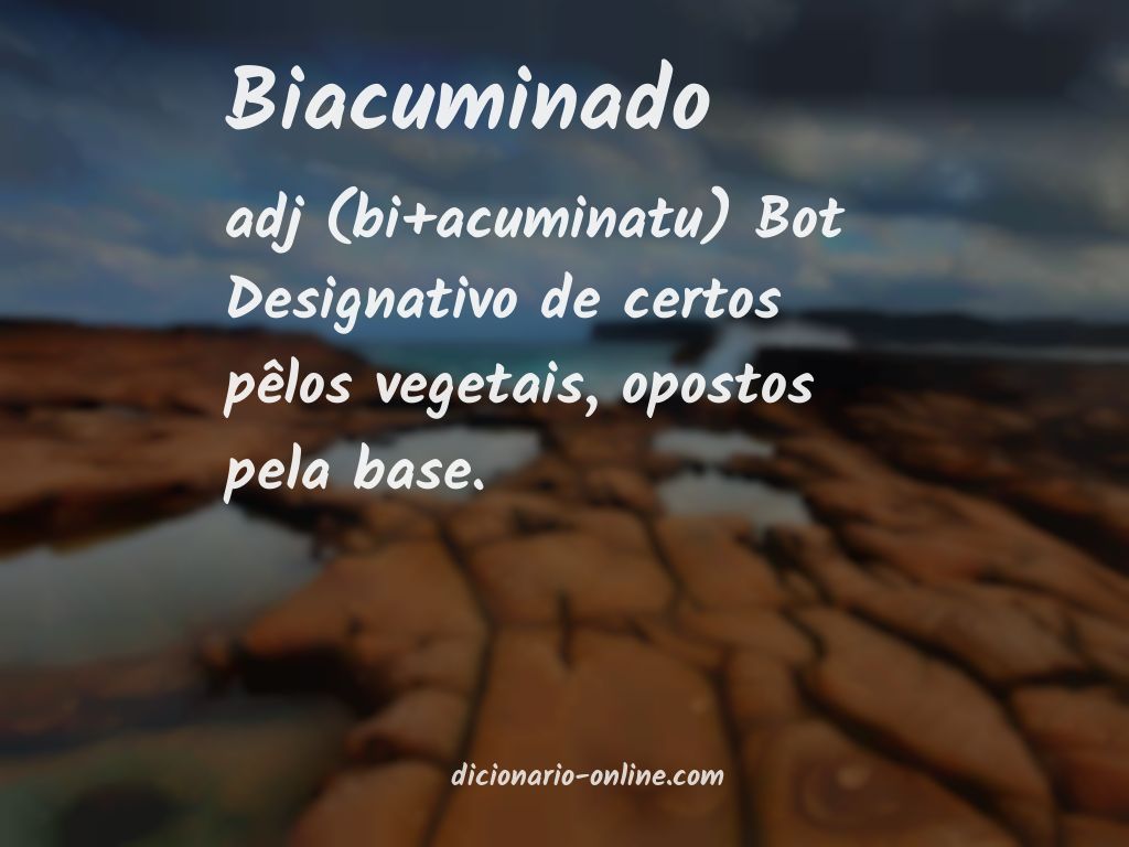 Significado de biacuminado