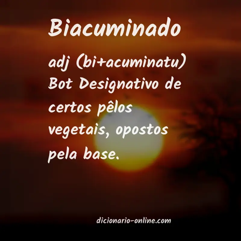 Significado de biacuminado