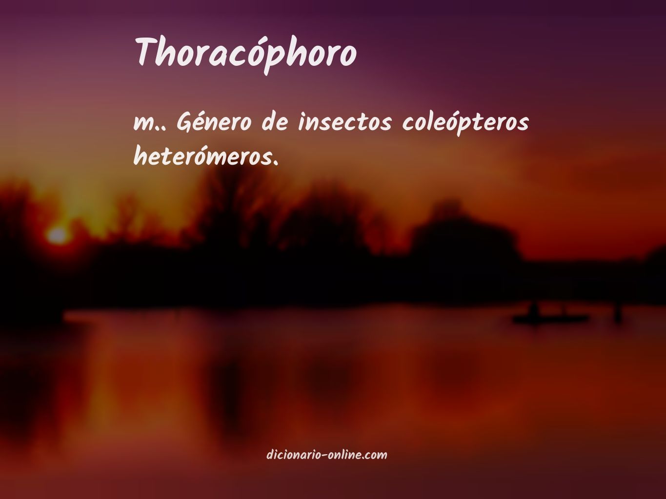Significado de thoracóphoro