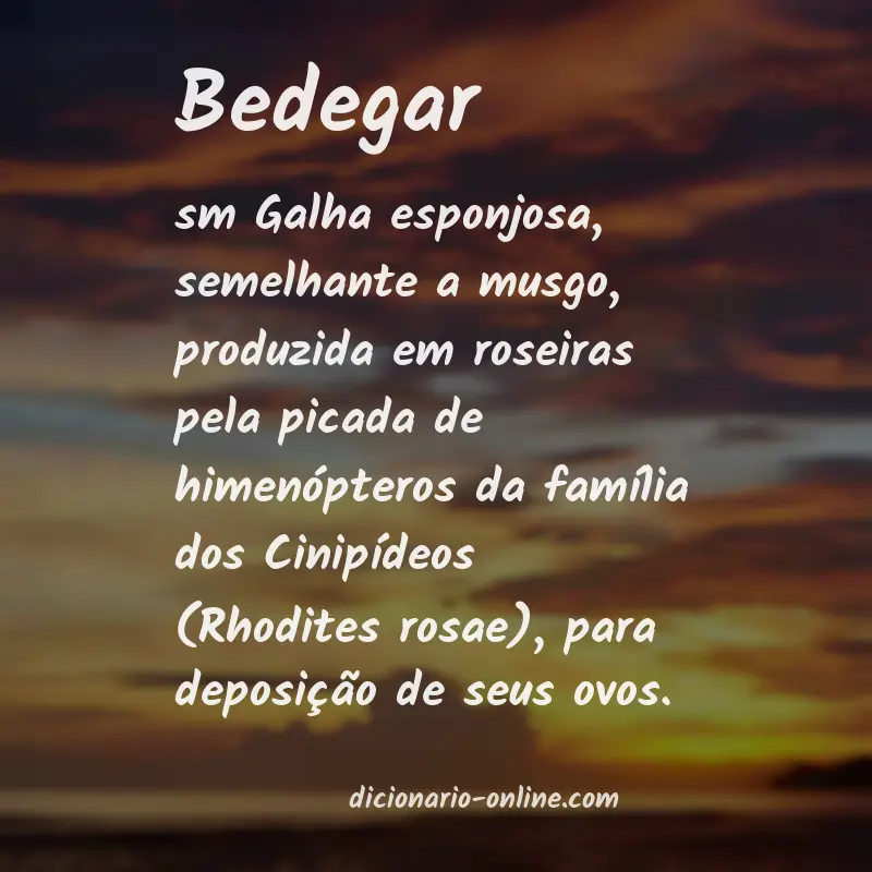Significado de bedegar