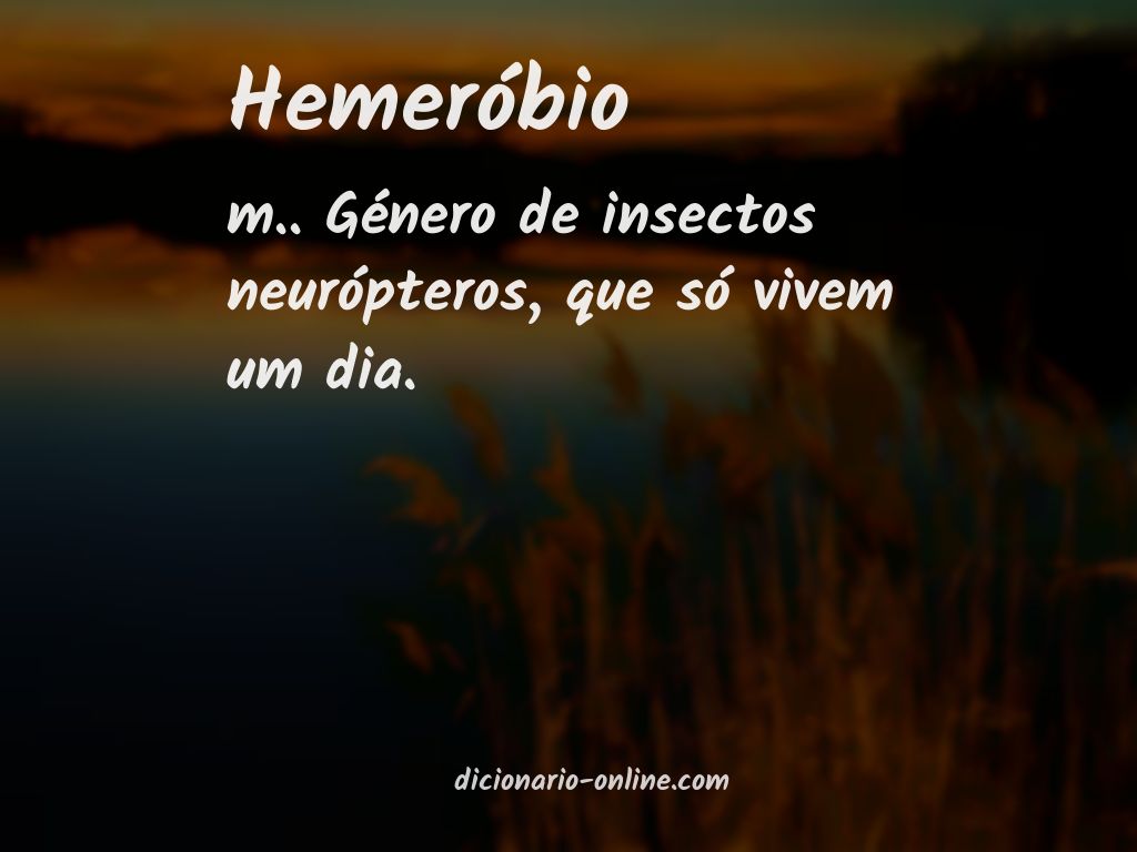 Significado de hemeróbio