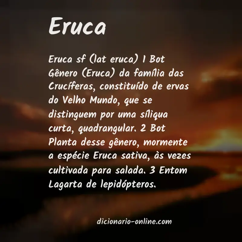 Significado de eruca
