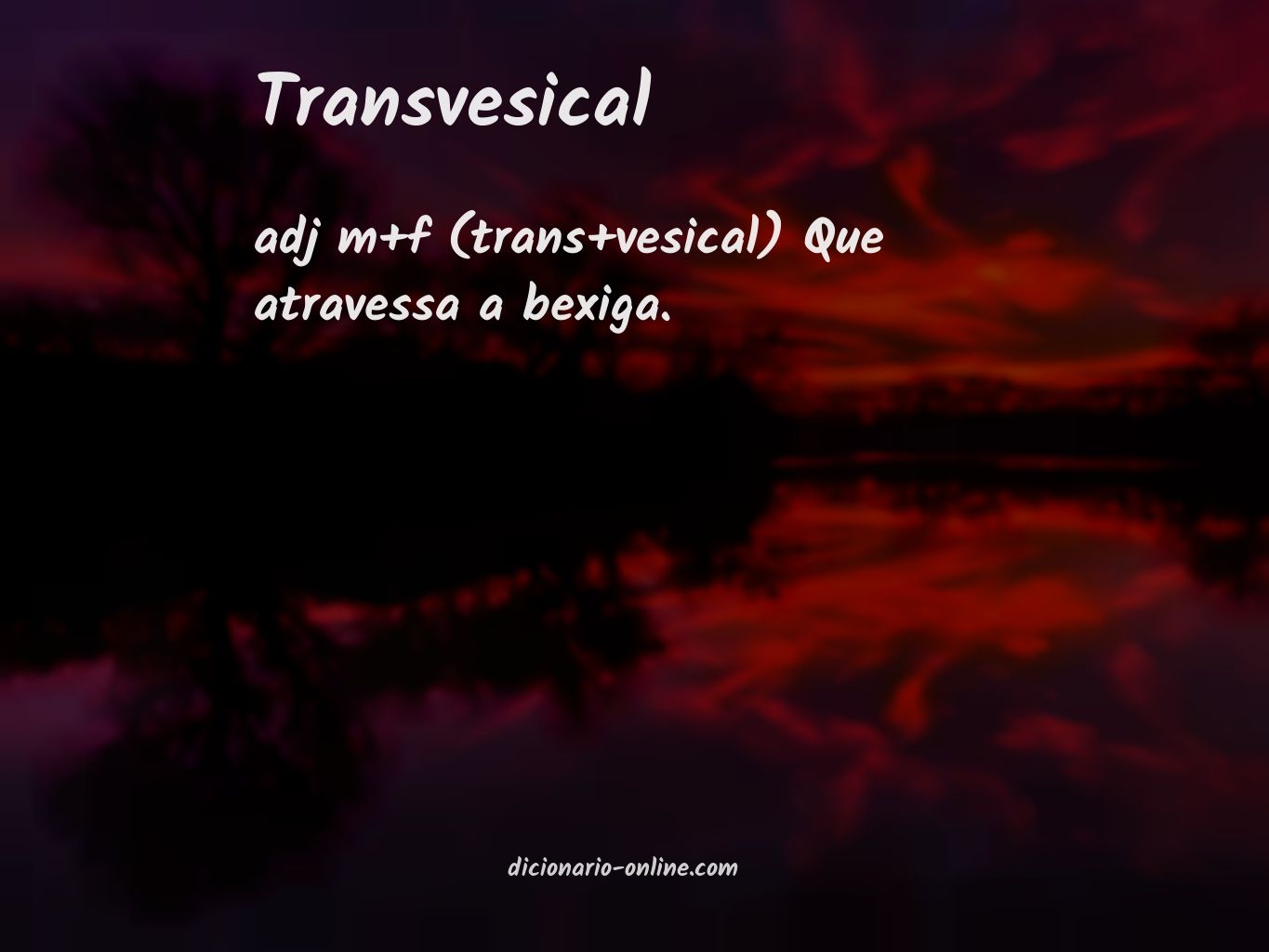 Significado de transvesical
