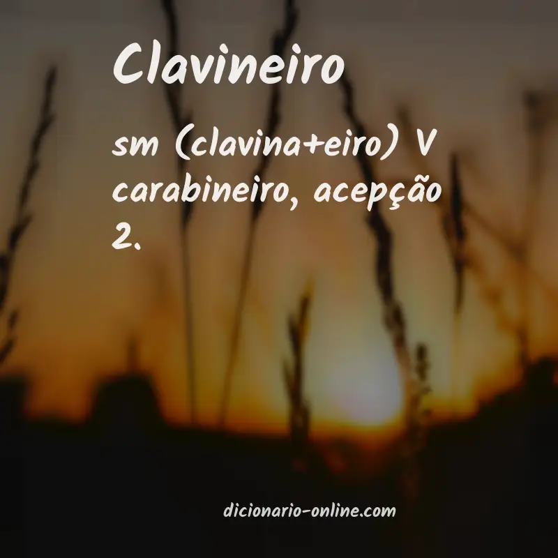 Significado de clavineiro