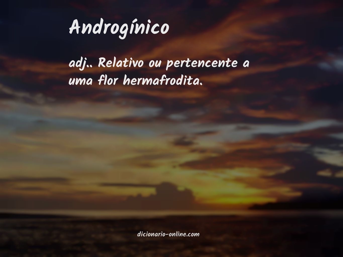 Significado de androgínico