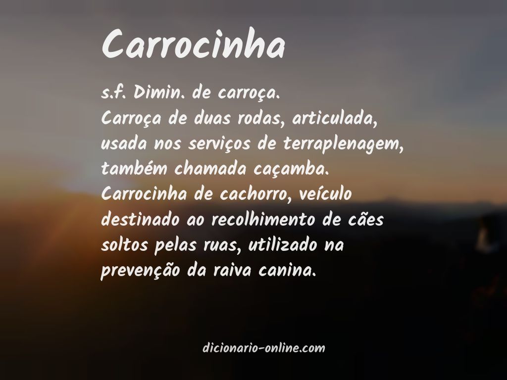 Significado de carrocinha