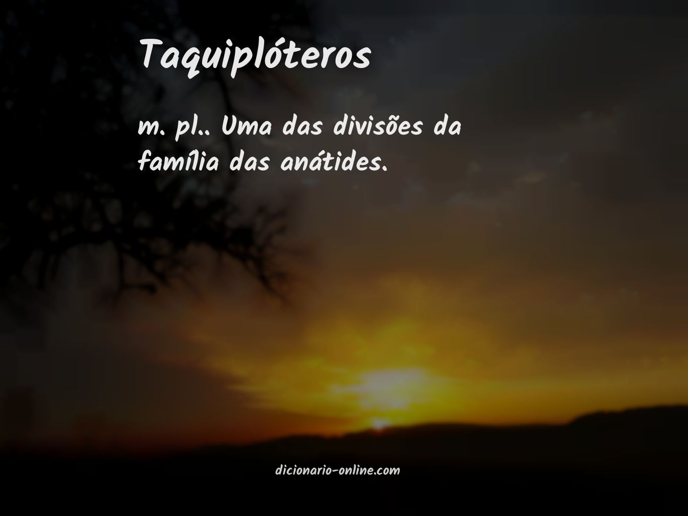 Significado de taquiplóteros