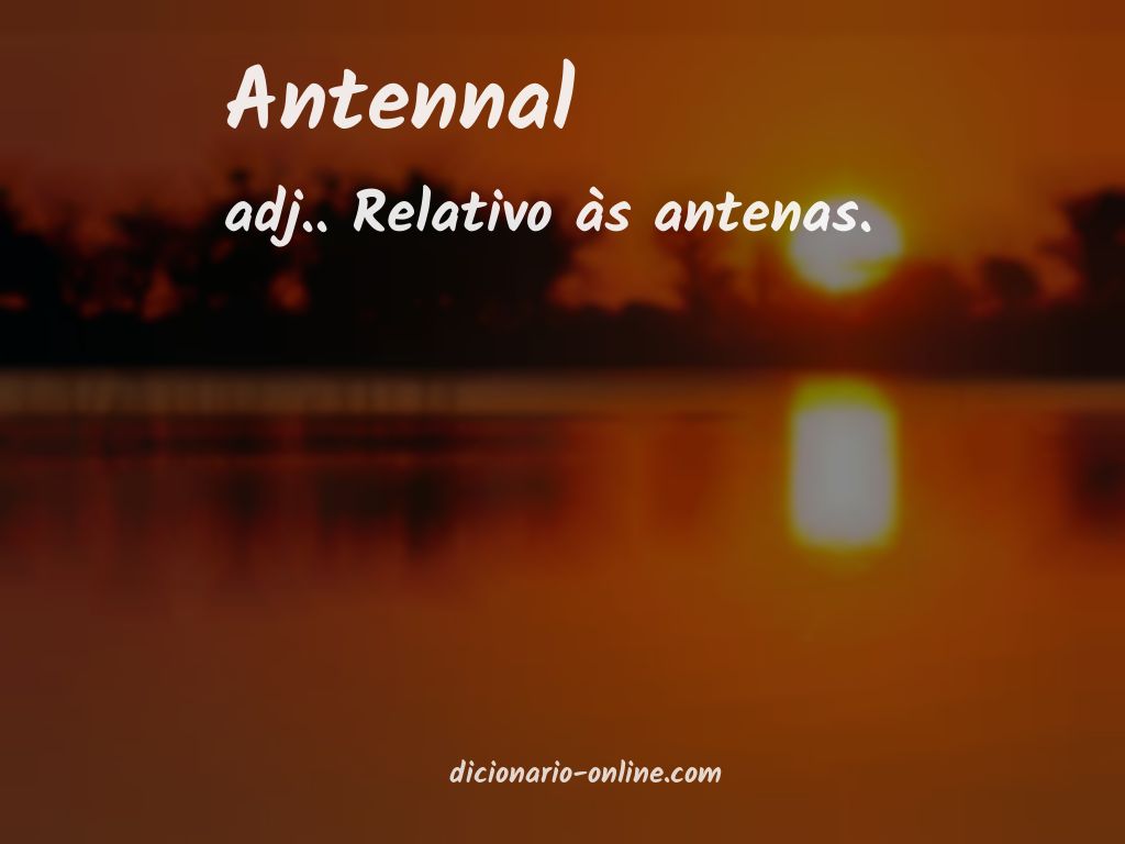 Significado de antennal