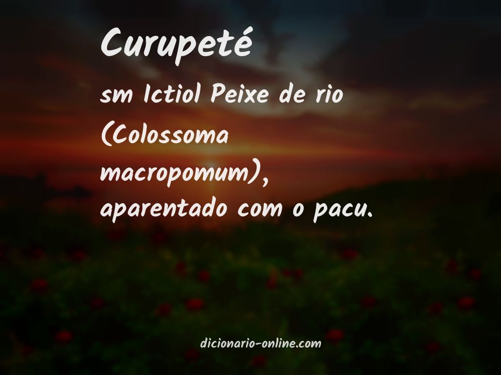 Significado de curupeté