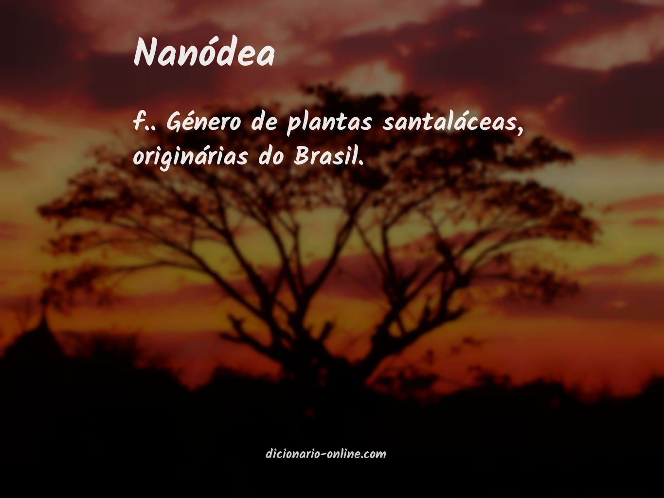 Significado de nanódea