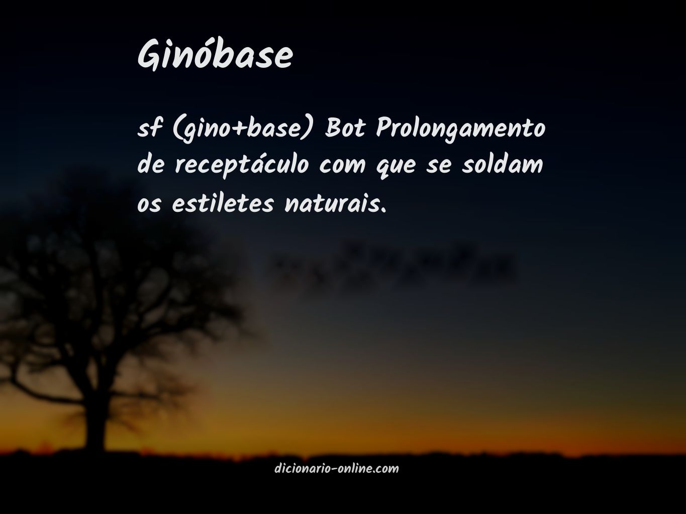 Significado de ginóbase