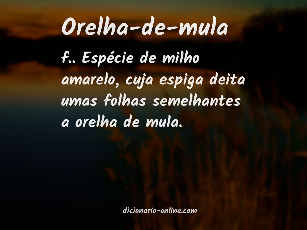 Significado de orelha-de-mula