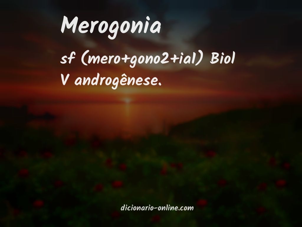 Significado de merogonia