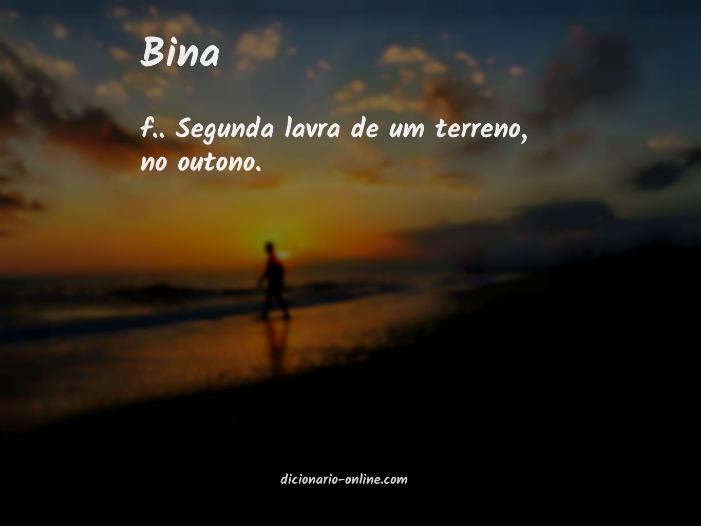 Significado de bina