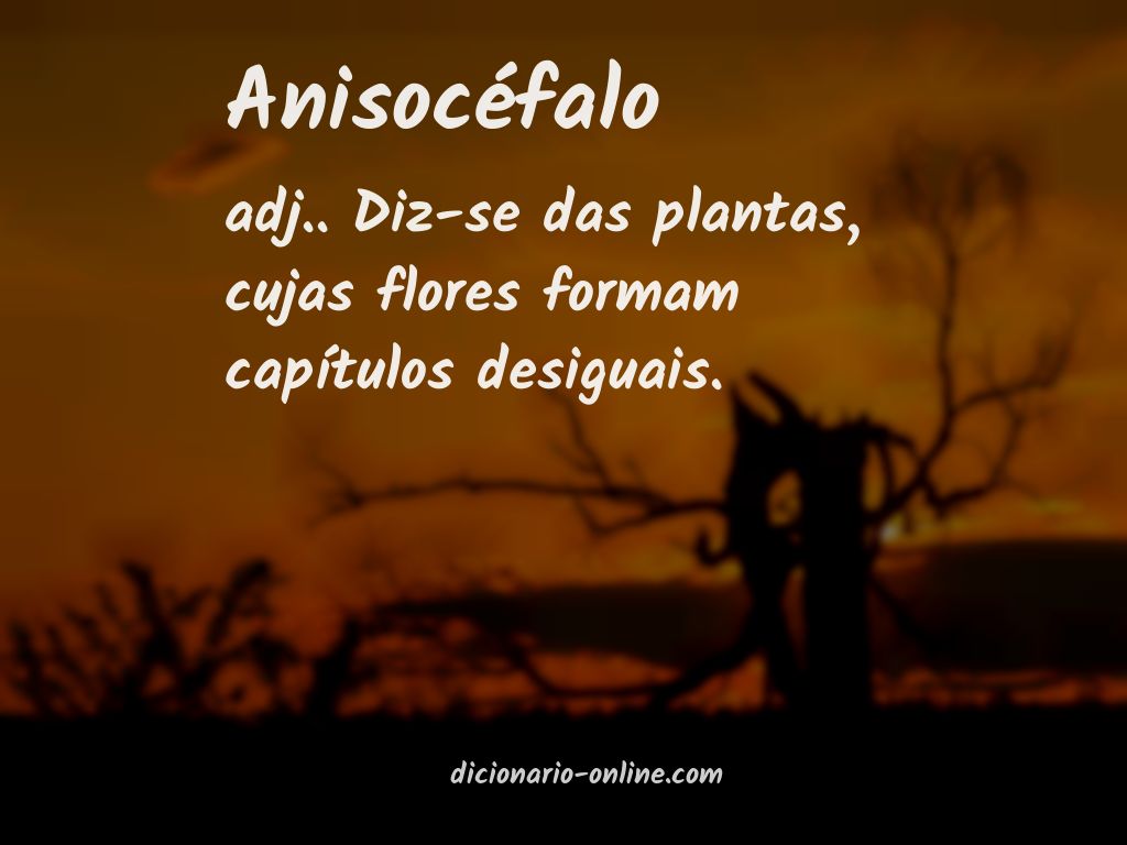 Significado de anisocéfalo