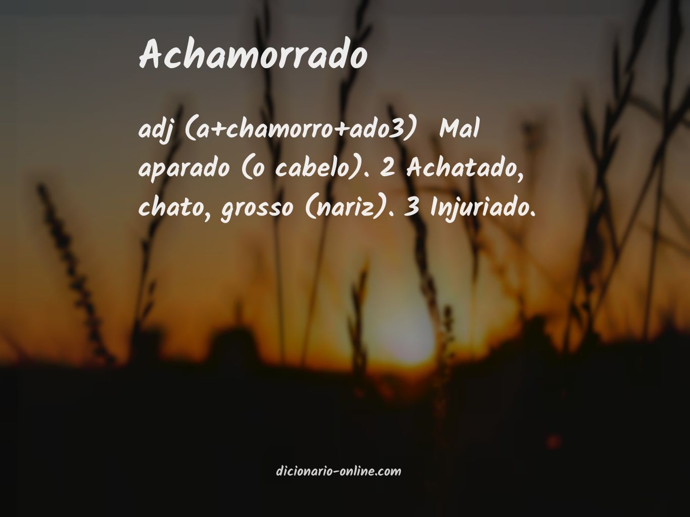 Significado de achamorrado