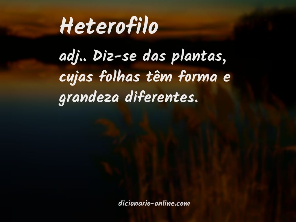 Significado de heterofilo