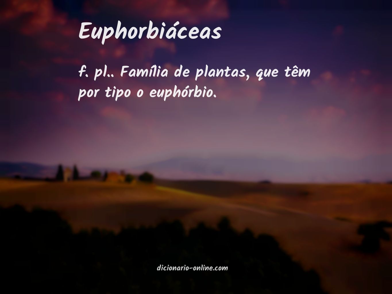 Significado de euphorbiáceas