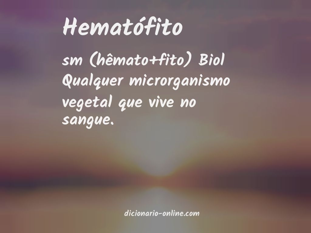 Significado de hematófito