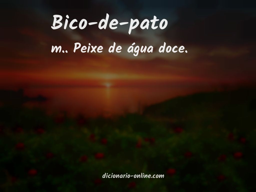 Significado de bico-de-pato