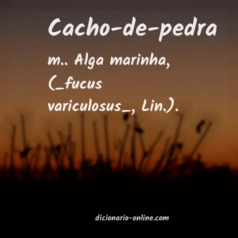 Significado de cacho-de-pedra