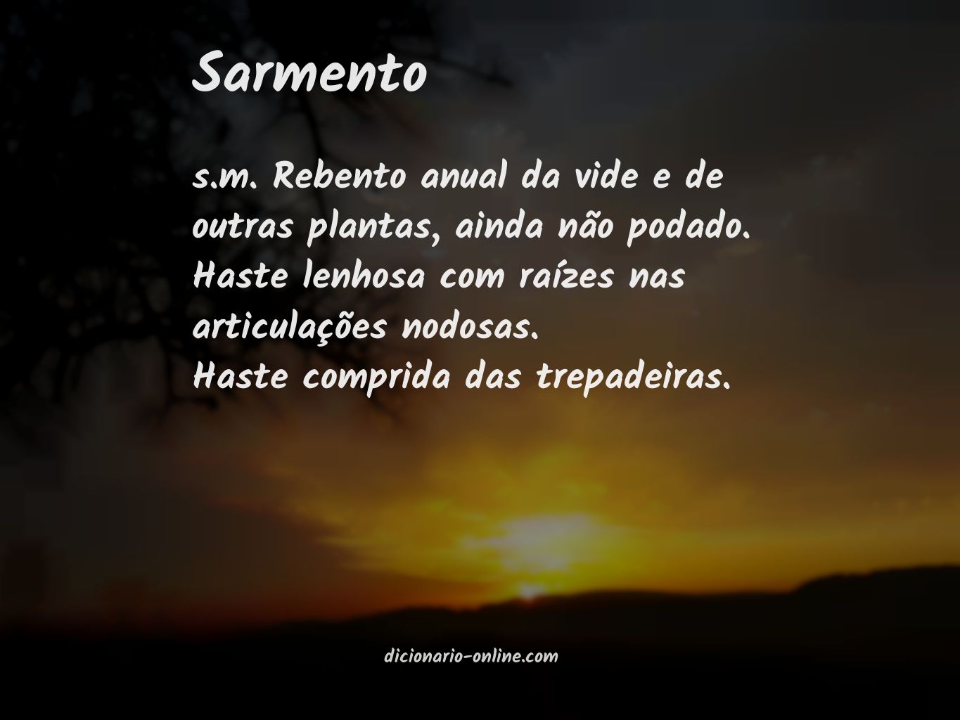 Significado de sarmento