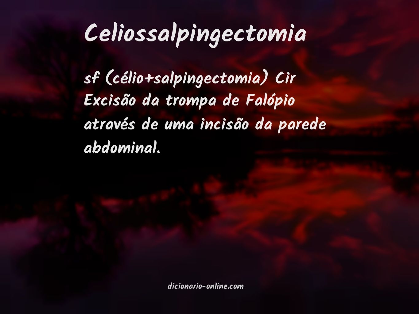 Significado de celiossalpingectomia