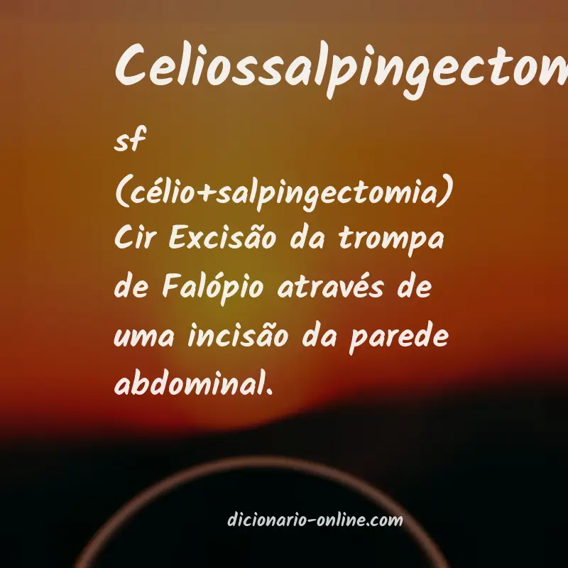 Significado de celiossalpingectomia