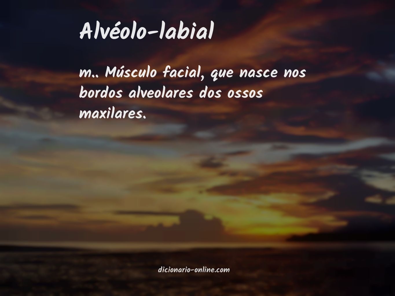 Significado de alvéolo-labial