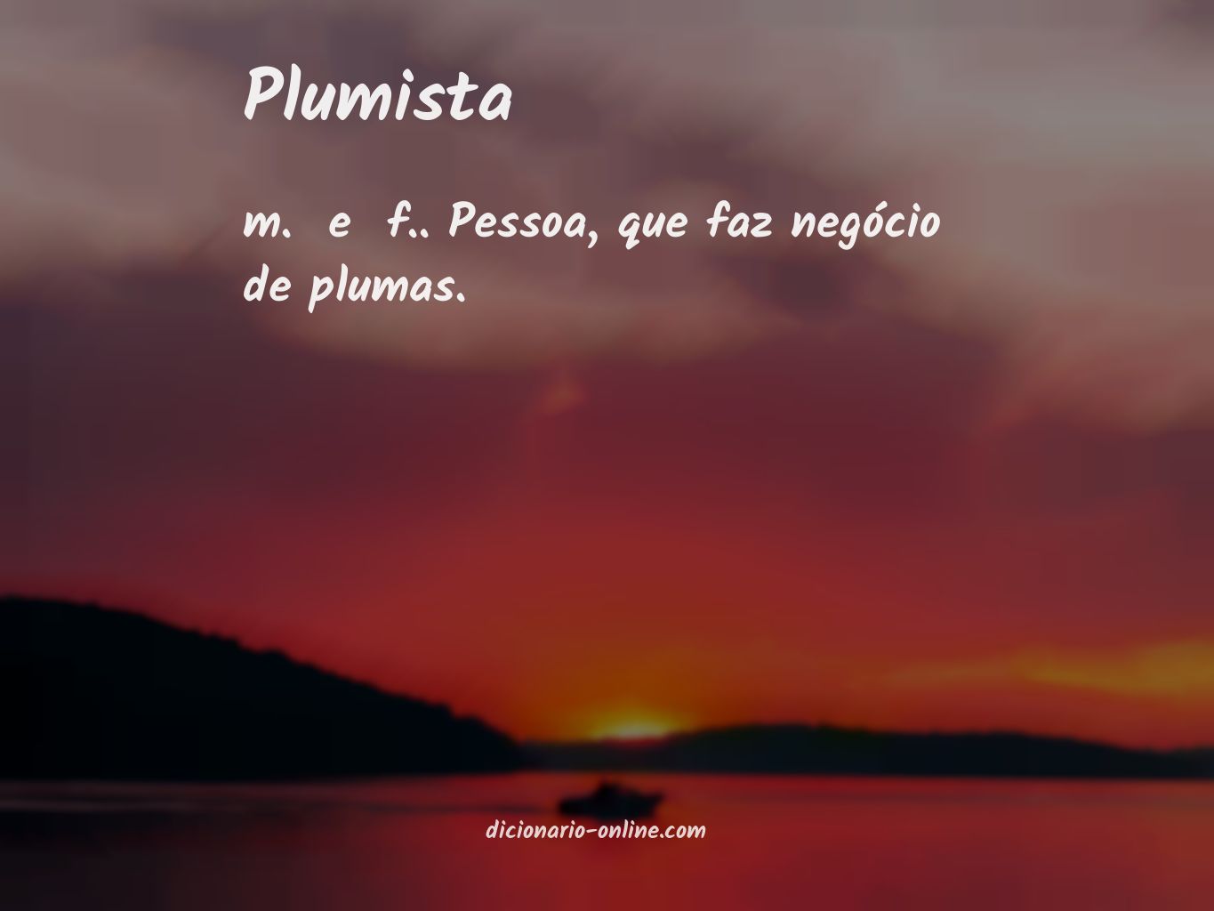 Significado de plumista