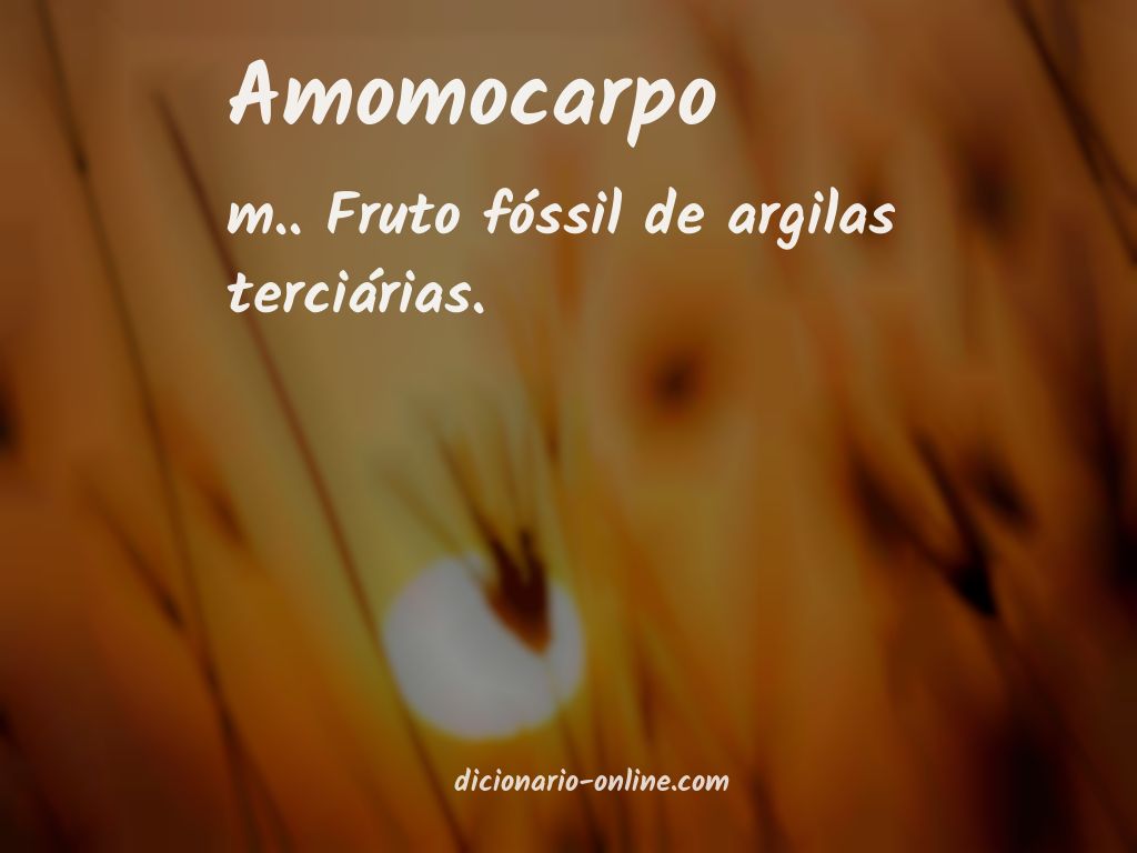 Significado de amomocarpo