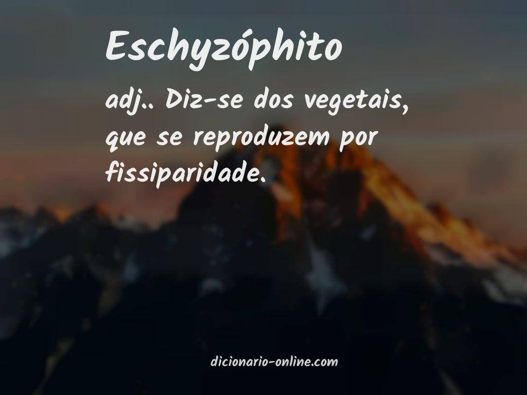 Significado de eschyzóphito