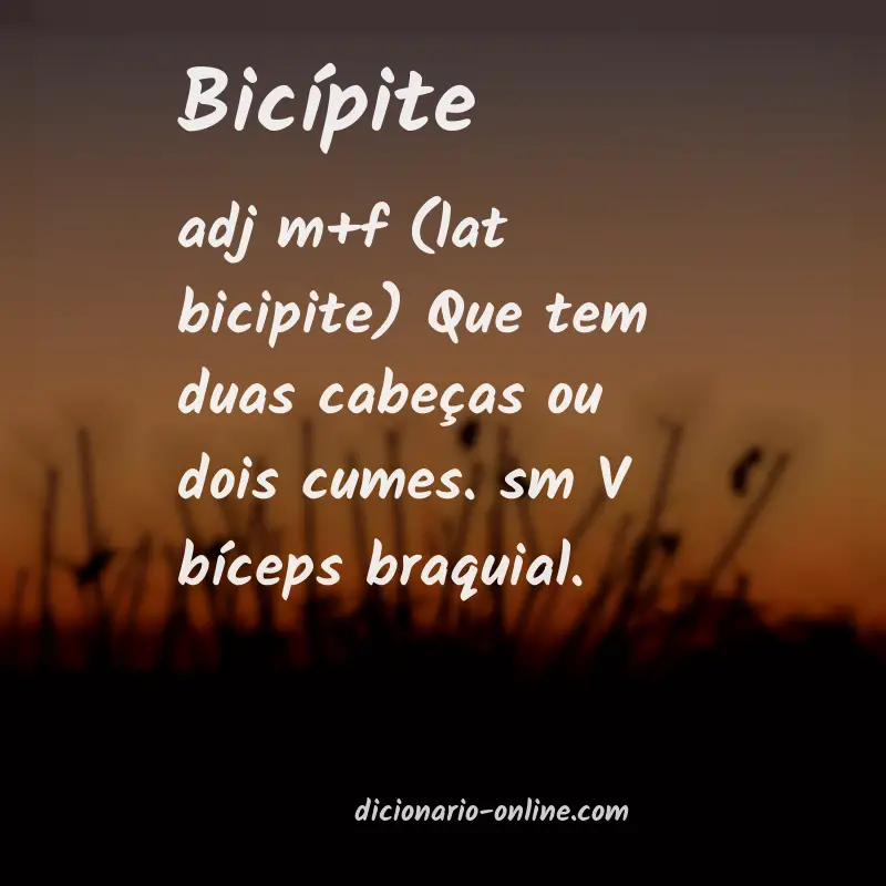 Significado de bicípite