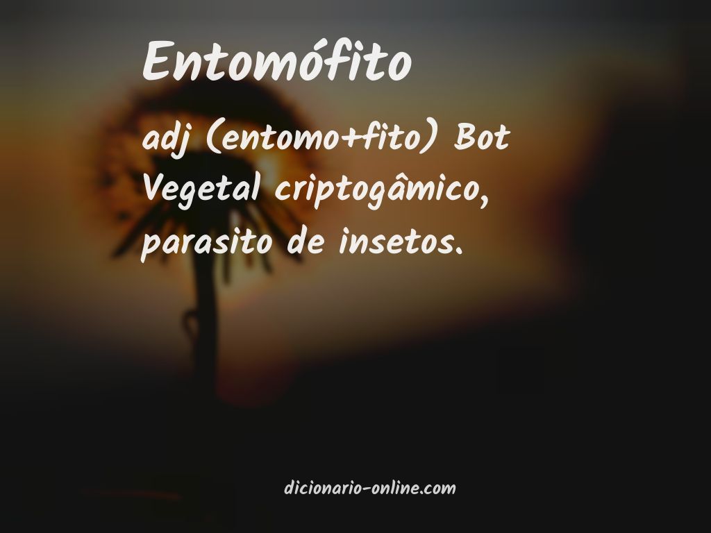 Significado de entomófito