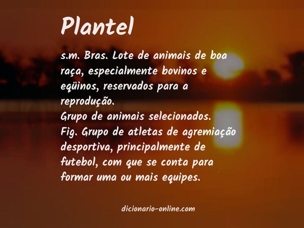 Significado de plantel