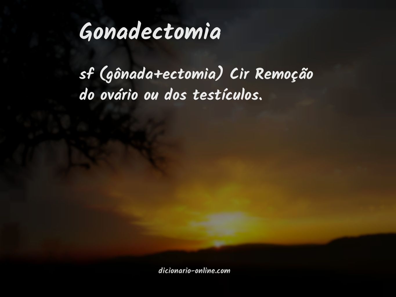 Significado de gonadectomia